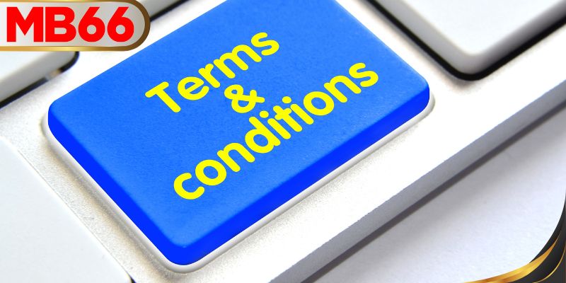 ภาพรวมของข้อกำหนดและเงื่อนไขของ MB66