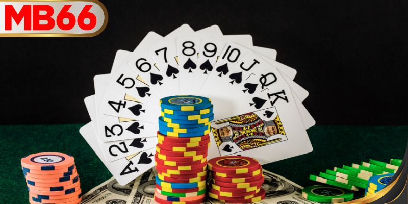 ภาพรวมของแพลตฟอร์มเดิมพัน MB66